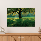 Beautiful tree