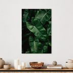 Green monstera