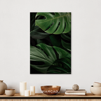 Tropical Foliage