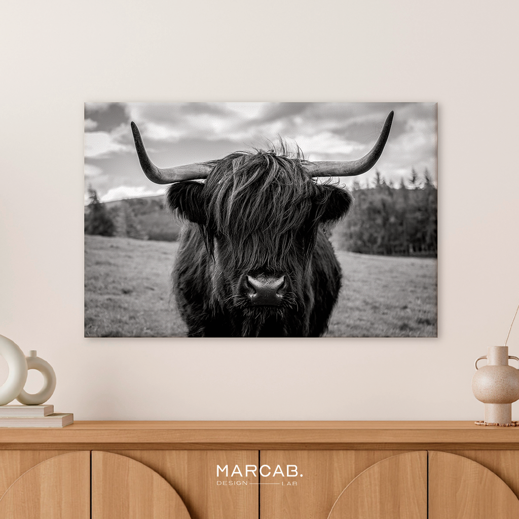 Vaca highland