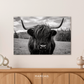 Vaca highland