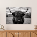 Vaca highland