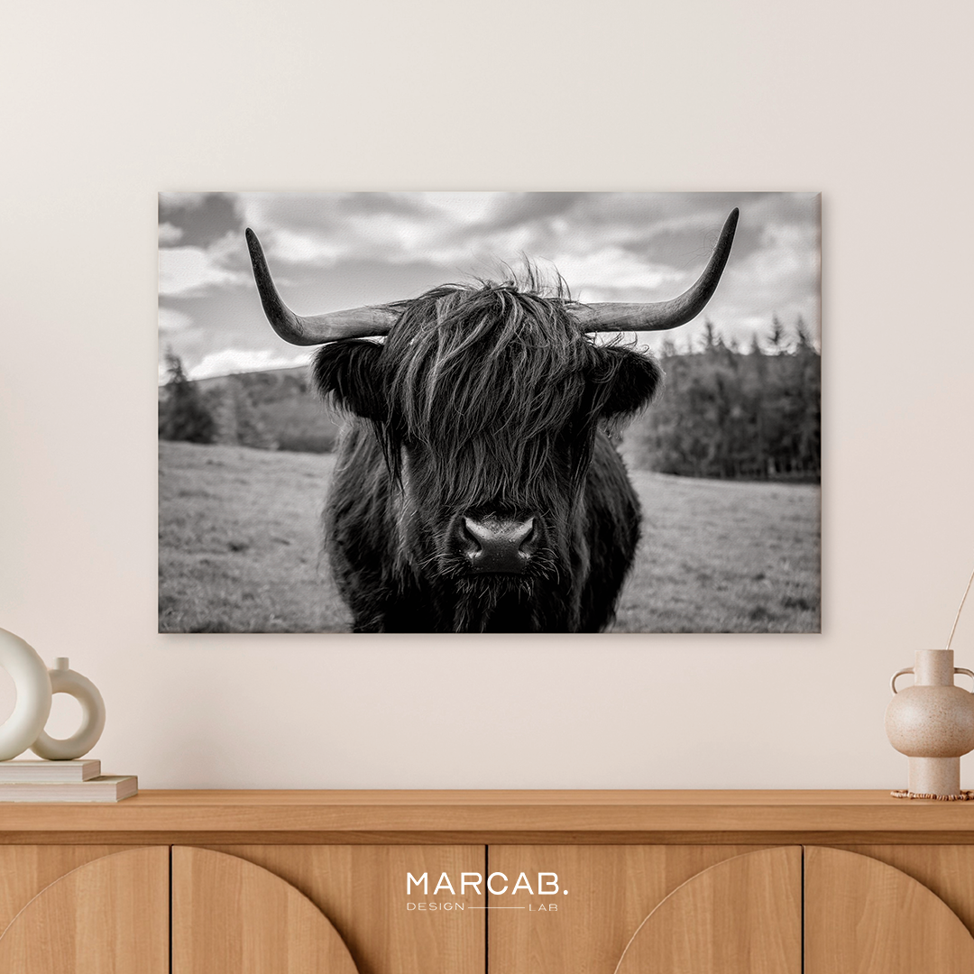 Vaca highland